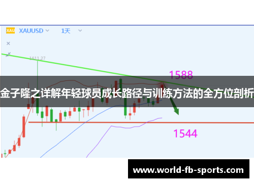 金子隆之详解年轻球员成长路径与训练方法的全方位剖析
